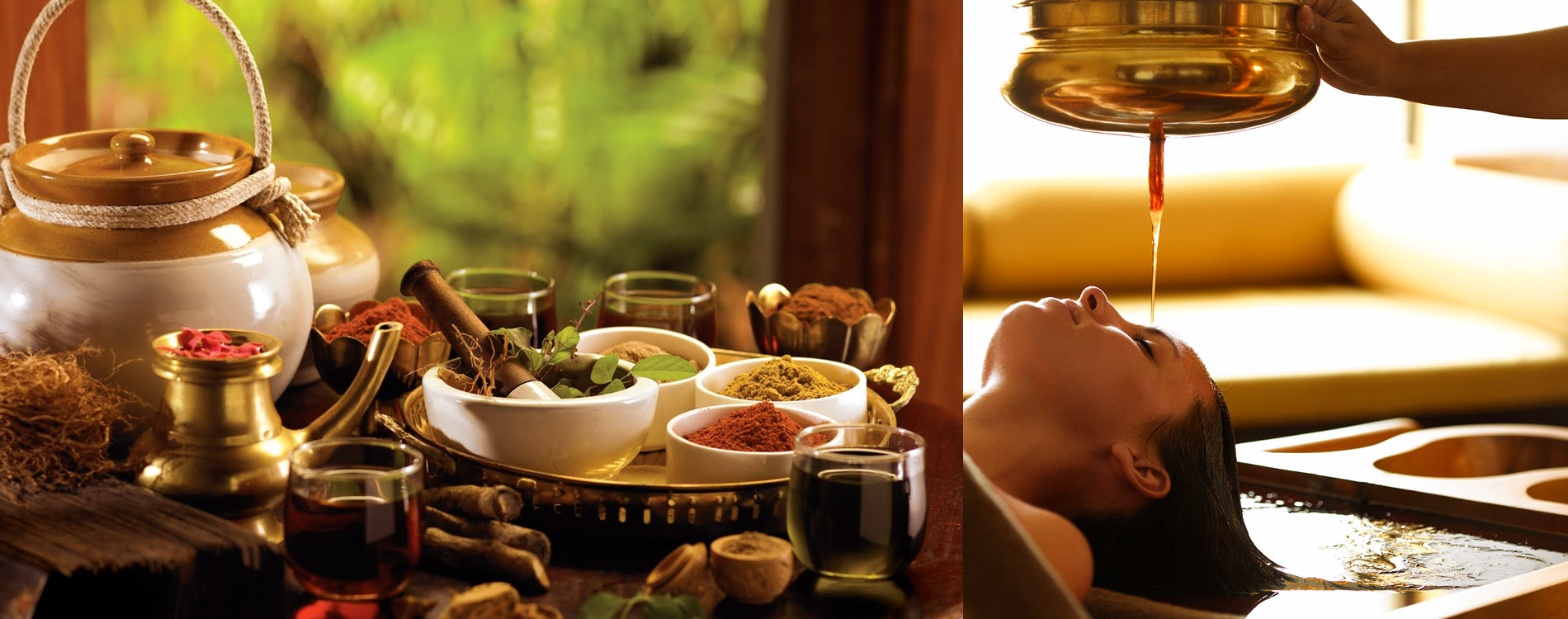 ayurveda-treatments