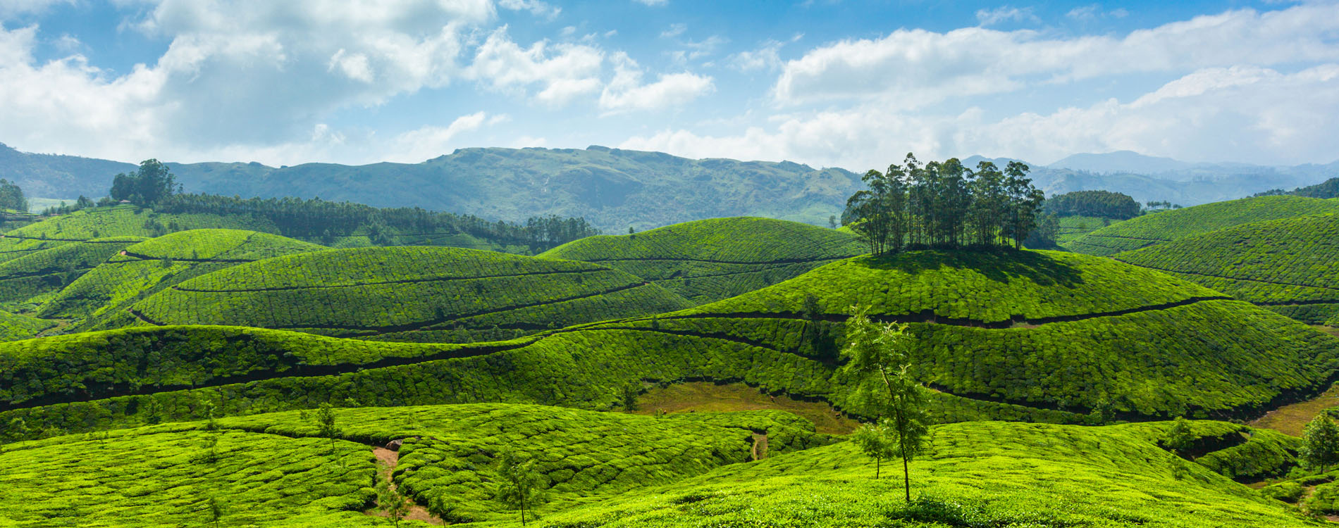 munnar-kerala